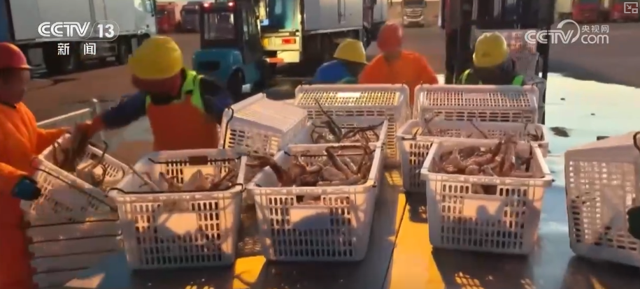 从“秒筛”到“监护”航空物流装上智慧“加速器”麻将胡了2试玩网站航空货运有“量”有“质”又智”(图1)