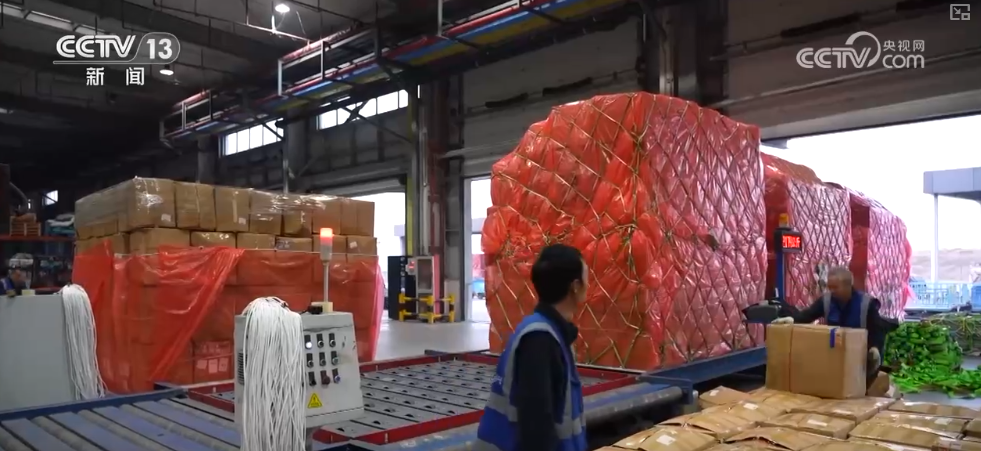 从“秒筛”到“监护”航空物流装上智慧“加速器”麻将胡了2试玩网站航空货运有“量”有“质”又智”(图13)