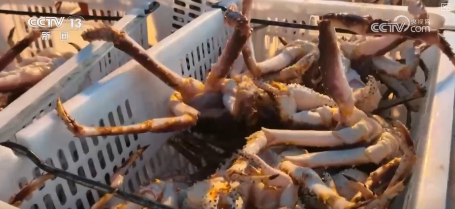 从“秒筛”到“监护”航空物流装上智慧“加速器”麻将胡了2试玩网站航空货运有“量”有“质”又智”(图21)