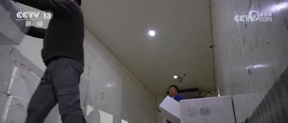 从“秒筛”到“监护”航空物流装上智慧“加速器”麻将胡了2试玩网站航空货运有“量”有“质”又智”(图26)